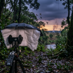 3Dio binaural mic and Zoom H6 recording birds at dawn in the Bahia Cerrado